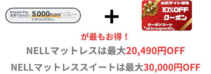 Amazonペイと10％クーポン併用が最安値の解説画像
