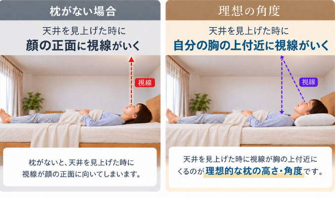 枕の理想の高さを解説した図解